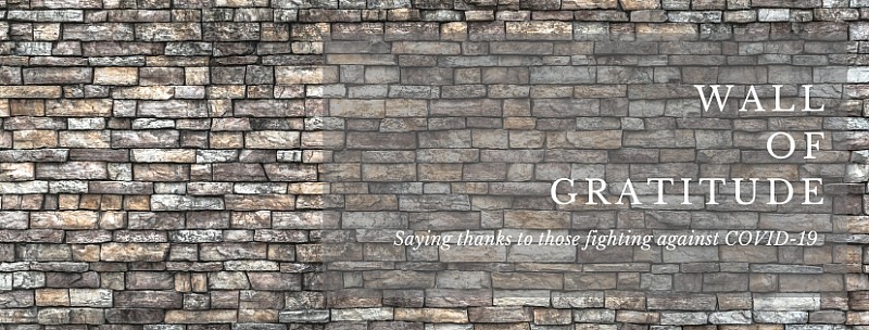 Cherry-Blossom-Facebook-Cover-800×304-orig